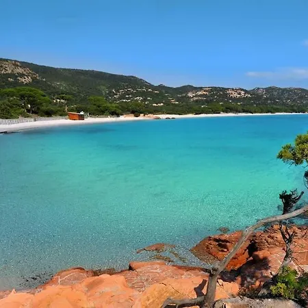 Casa Agatha : Avec Piscine * Figari (Corsica)